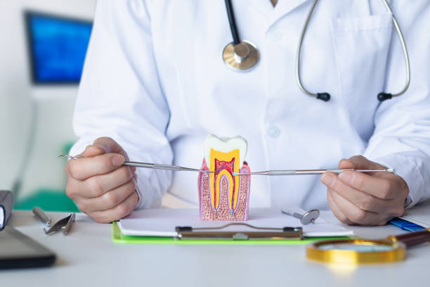 Best Emergency Tooth Extraction  in Nd Lake, WI